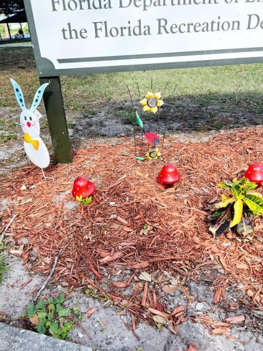 3Brdrm Home Near Downtown Orlando And Winterpark Экстерьер фото